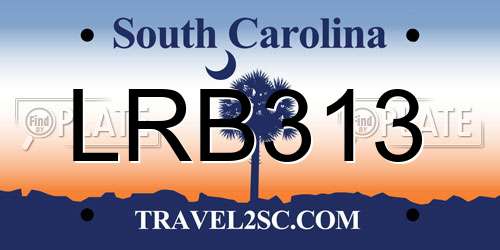 LRB313 South Carolina License Plate