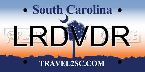 LRDVDR South Carolina License Plate