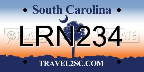 LRN234 South Carolina License Plate