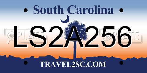 LS2A256 South Carolina License Plate
