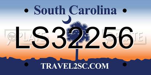 LS32256 South Carolina License Plate