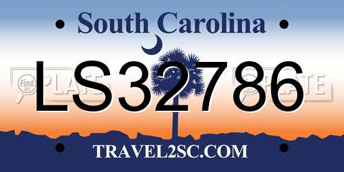 LS32786 South Carolina License Plate