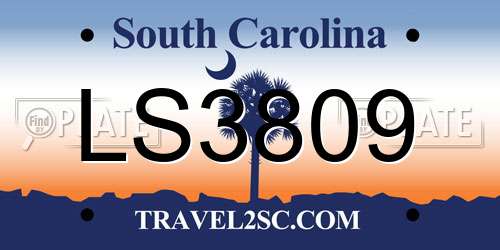 LS3809 South Carolina License Plate
