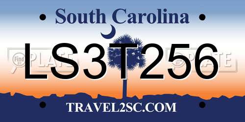 LS3T256 South Carolina License Plate