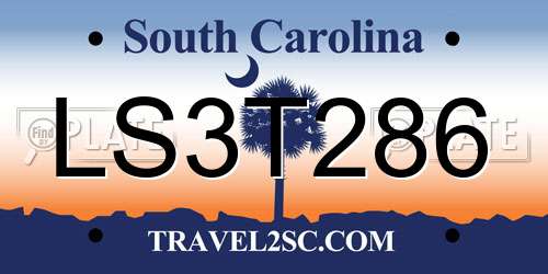 LS3T286 South Carolina License Plate