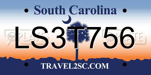 LS3T756 South Carolina License Plate
