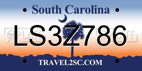 LS3Z786 South Carolina License Plate