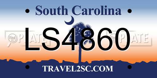 LS4860 South Carolina License Plate