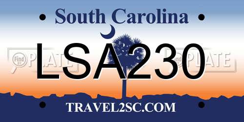 LSA230 South Carolina License Plate