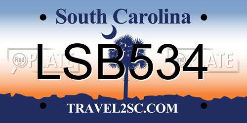 LSB534 South Carolina License Plate