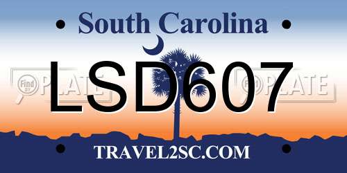 LSD607 South Carolina License Plate