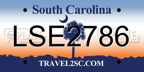 LSE2786 South Carolina License Plate