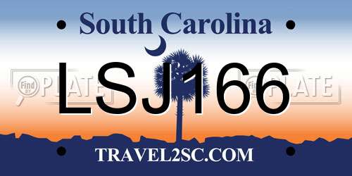 LSJ166 South Carolina License Plate