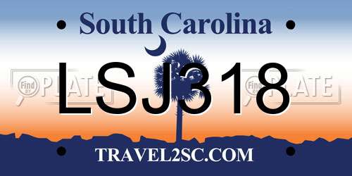 LSJ318 South Carolina License Plate