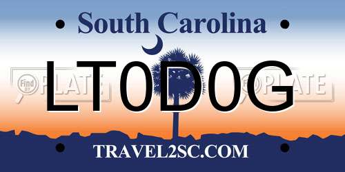 LT0D0G South Carolina License Plate