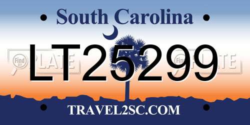 LT25299 South Carolina License Plate