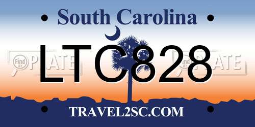 LTC828 South Carolina License Plate