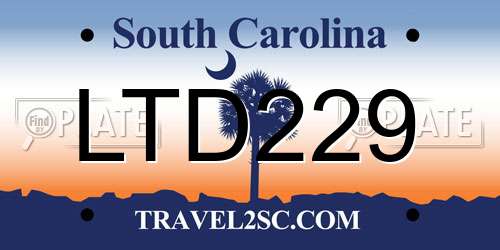 LTD229 South Carolina License Plate