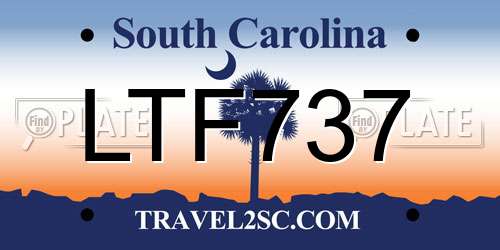 LTF737 South Carolina License Plate