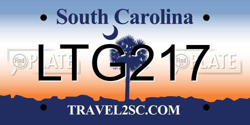 LTG217 South Carolina License Plate