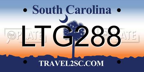 LTG288 South Carolina License Plate