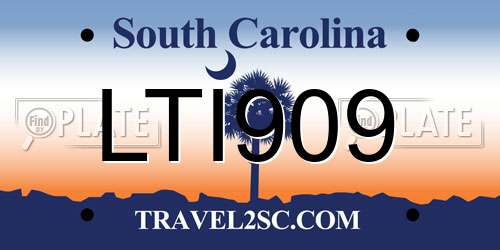 LTI909 South Carolina License Plate