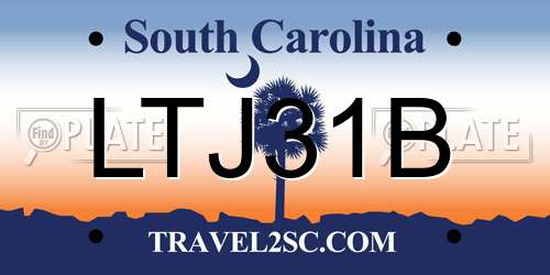 LTJ31B South Carolina License Plate