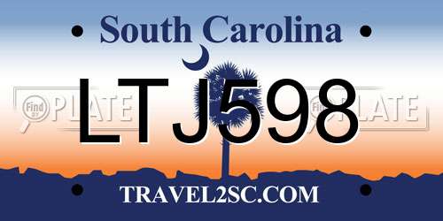 LTJ598 South Carolina License Plate