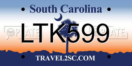 LTK599 South Carolina License Plate