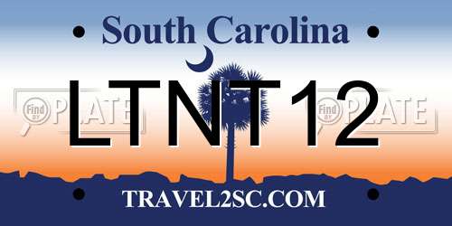 LTNT12 South Carolina License Plate