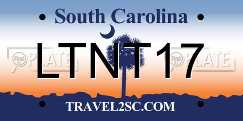 LTNT17 South Carolina License Plate