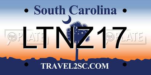 LTNZ17 South Carolina License Plate