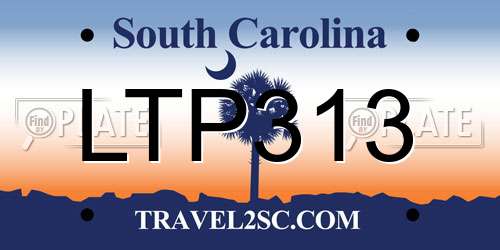 LTP313 South Carolina License Plate
