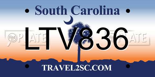 LTV836 South Carolina License Plate