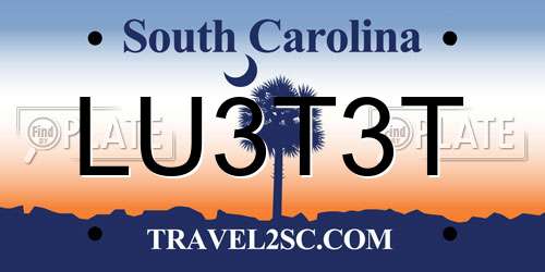 LU3T3T South Carolina License Plate