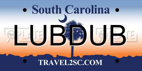 LUBDUB South Carolina License Plate