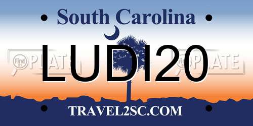 LUDI20 South Carolina License Plate