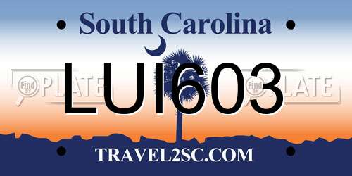 LUI603 South Carolina License Plate