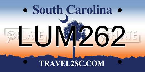 LUM262 South Carolina License Plate