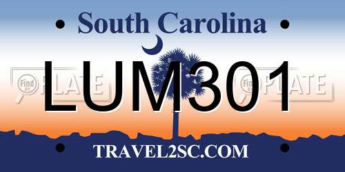 LUM301 South Carolina License Plate
