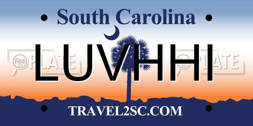LUVHHI South Carolina License Plate