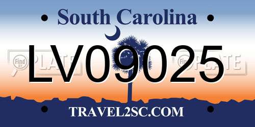 LV09025 South Carolina License Plate