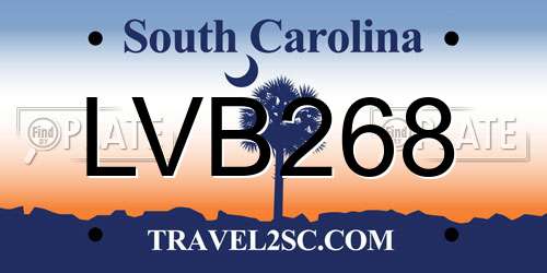 LVB268 South Carolina License Plate
