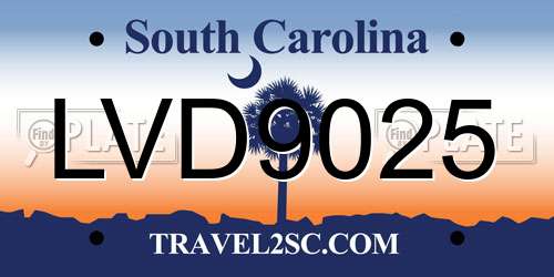 LVD9025 South Carolina License Plate