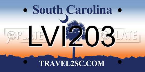 LVI203 South Carolina License Plate