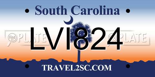 LVI824 South Carolina License Plate