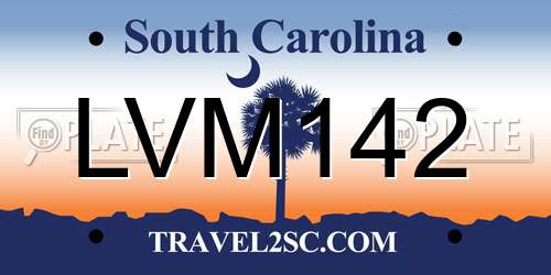 LVM142 South Carolina License Plate