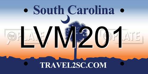 LVM201 South Carolina License Plate