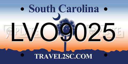 LVO9025 South Carolina License Plate