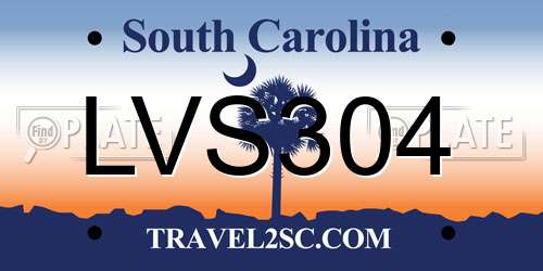 LVS304 South Carolina License Plate
